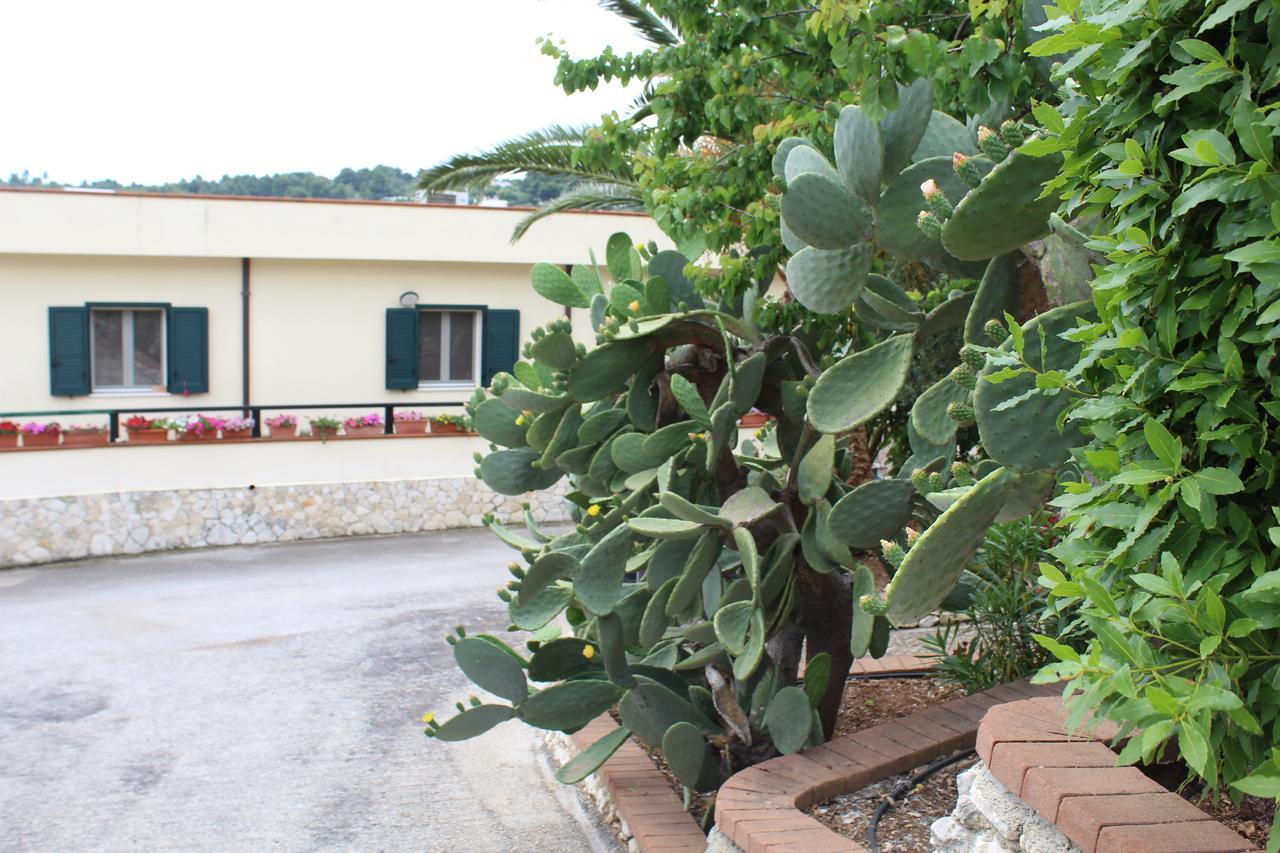 Villaggio Turistico Defensola ヴィエステ エクステリア 写真