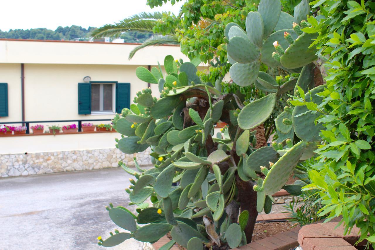 Villaggio Turistico Defensola ヴィエステ エクステリア 写真